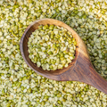 Moong Dal (Split)